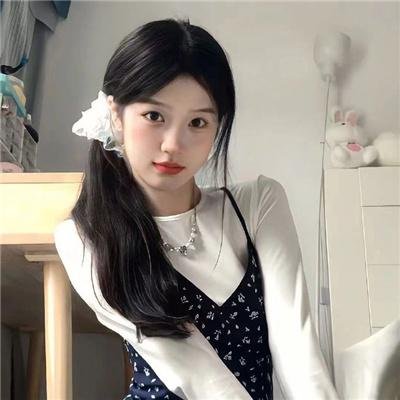 最后的飞行
